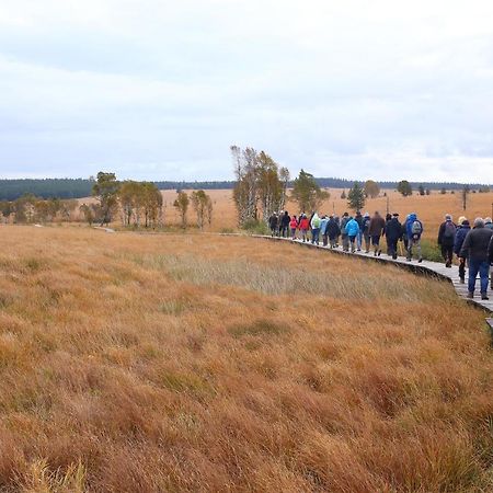 Le Brocard Des Fagnes - 16 Pers Malmedy Villa Exterior foto