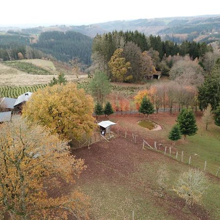 Le Brocard Des Fagnes - 16 Pers Malmedy Villa Exterior foto