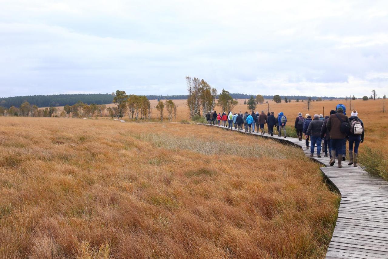 Le Brocard Des Fagnes - 16 Pers Malmedy Villa Exterior foto